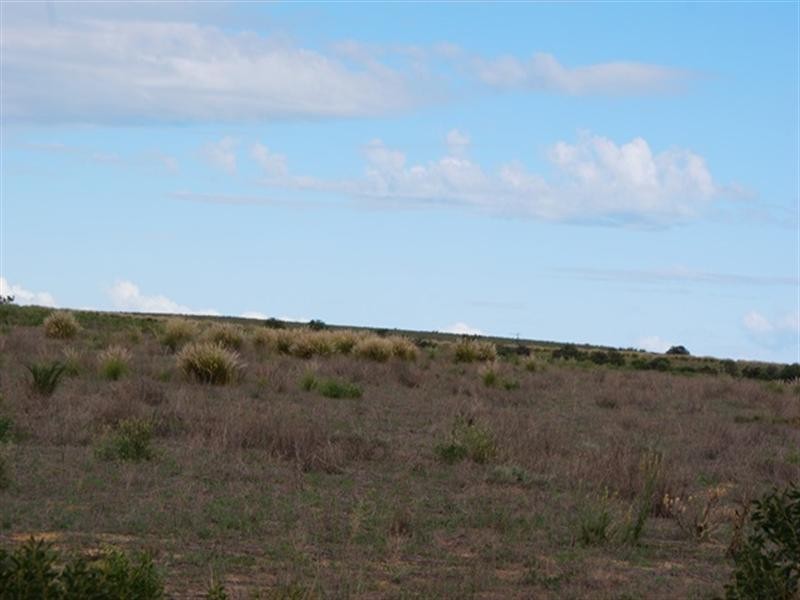 2368 Wye Farm Road, Dongara WA 6525