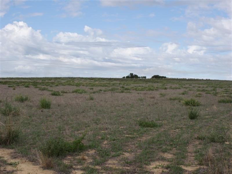 2368 Wye Farm Road, Dongara WA 6525