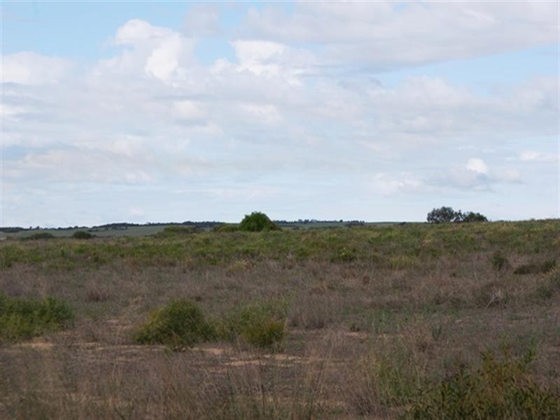 2368 Wye Farm Road, Dongara WA 6525