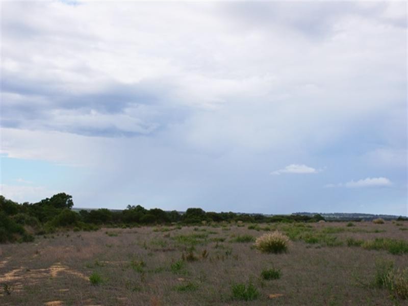 2368 Wye Farm Road, Dongara WA 6525