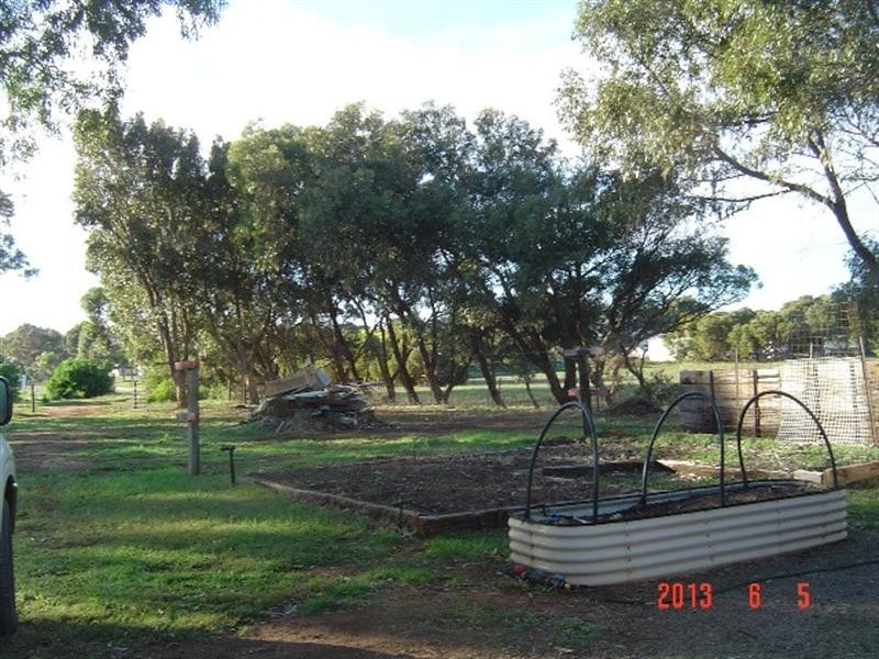 4 Watson Place, Dongara WA 6525