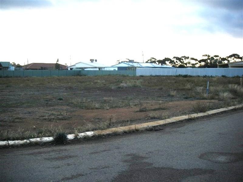 50 Millard Street, Three Springs WA 6519