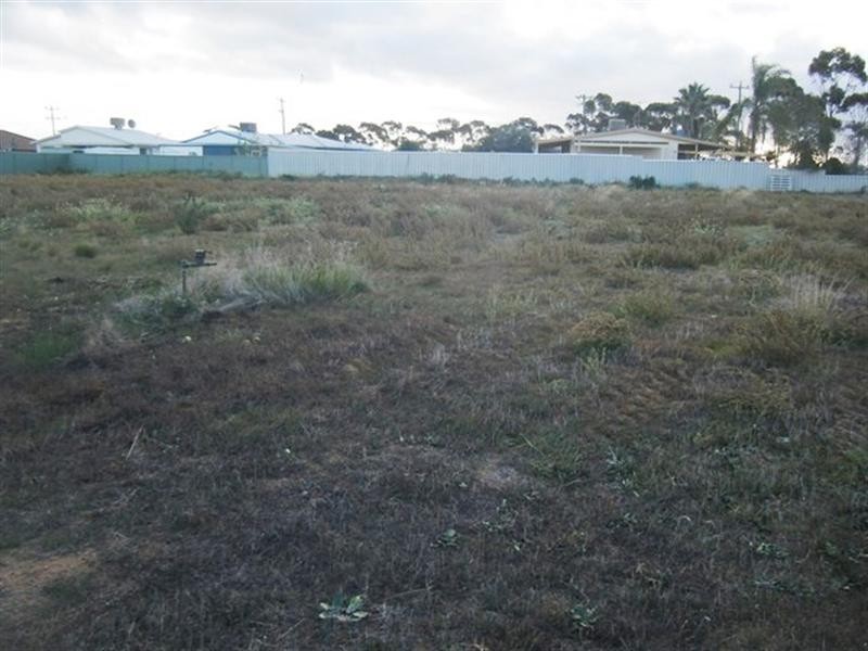 50 Millard Street, Three Springs WA 6519