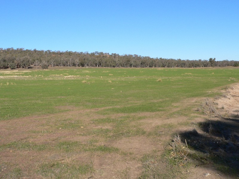 51 McGann Hill Road, Benalla VIC 3672