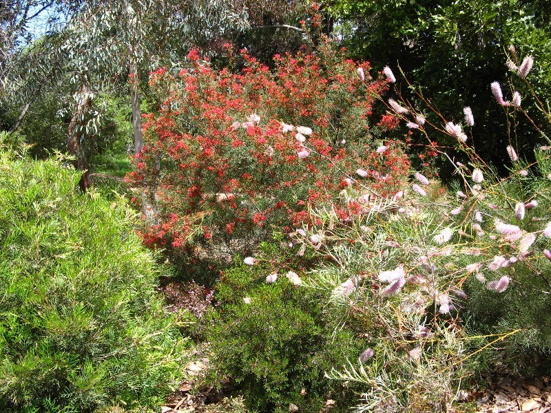 212 Mt Joy Road, Benalla VIC 3672