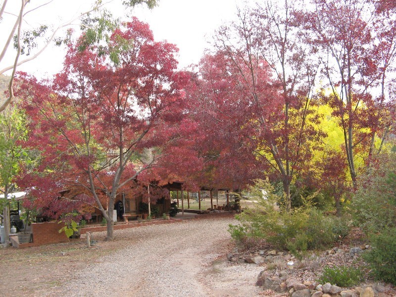 212 Mt Joy Road, Benalla VIC 3672