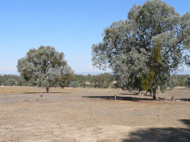 892 Mansfield Road, Benalla VIC 3672