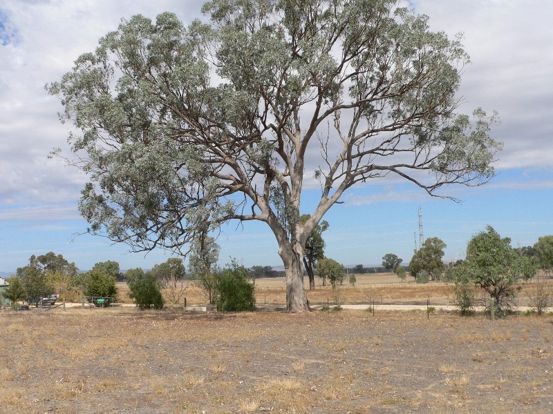 Crn Yarrawonga Farnley Road, Benalla VIC 3672