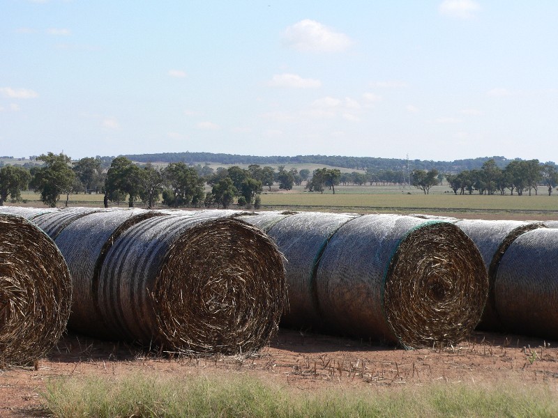 379 Goorambat Chesney Road, Benalla VIC 3672