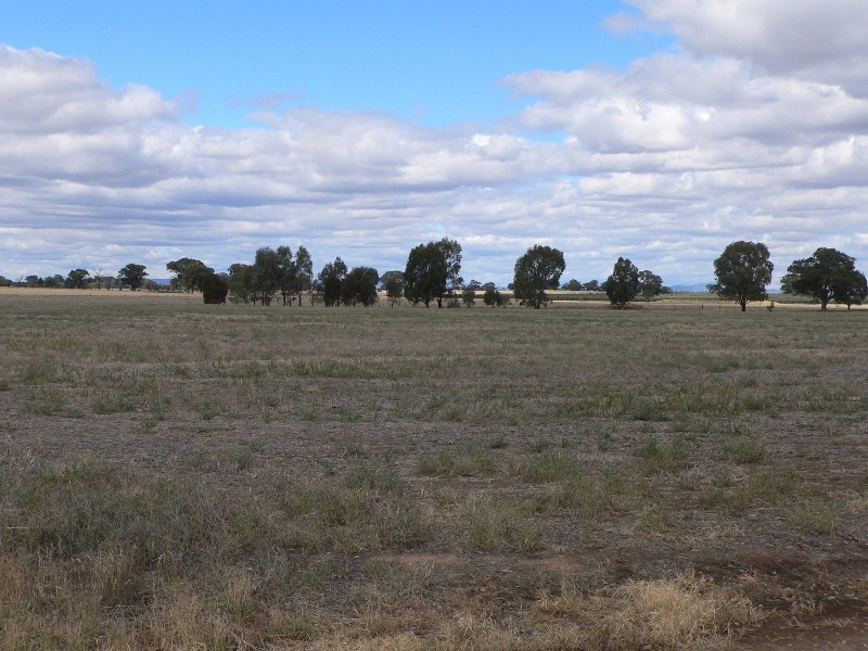 379 Goorambat Chesney Road, Benalla VIC 3672