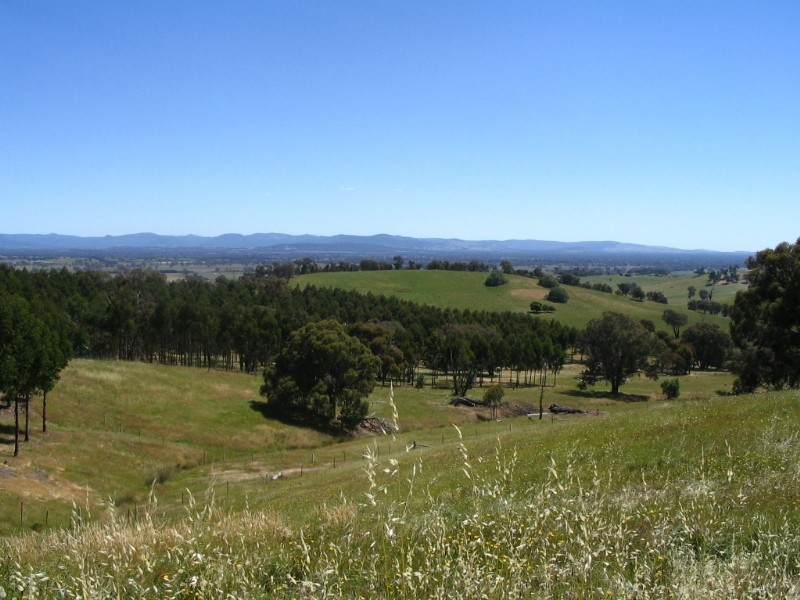 246 Darktown Road, Benalla VIC 3672