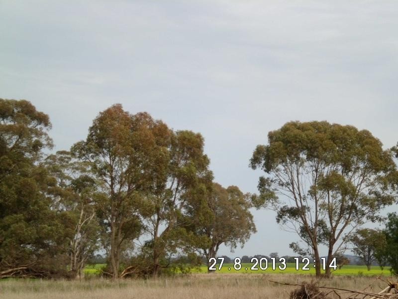 119 High Street, Nagambie VIC 3608