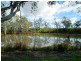 Lot 1 Mitchellstown Road, Nagambie VIC 3608