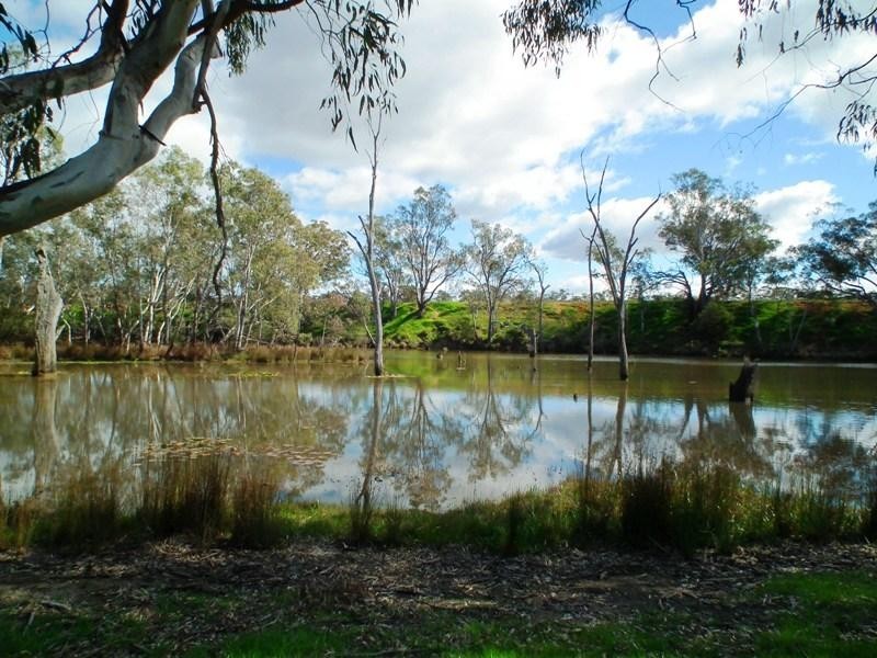 Lot 1 Mitchellstown Road, Nagambie VIC 3608