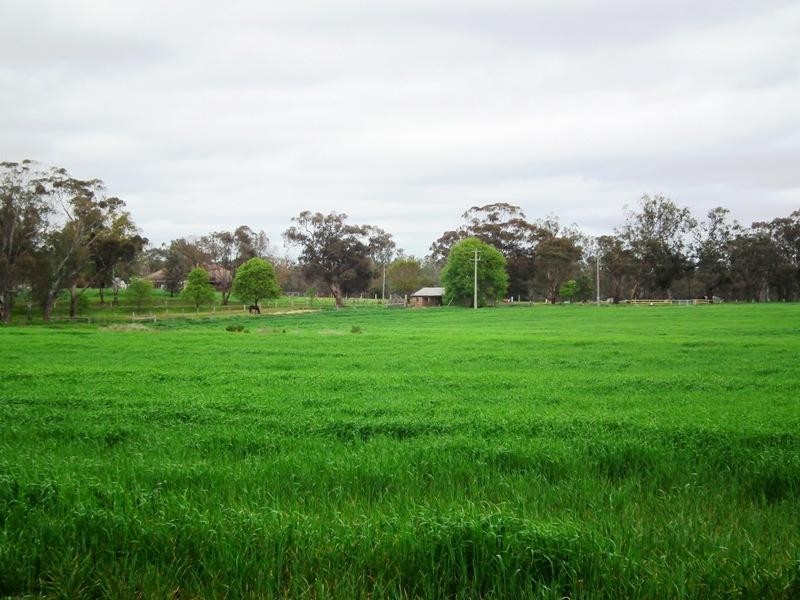 Lot 1 Mitchellstown Road, Nagambie VIC 3608