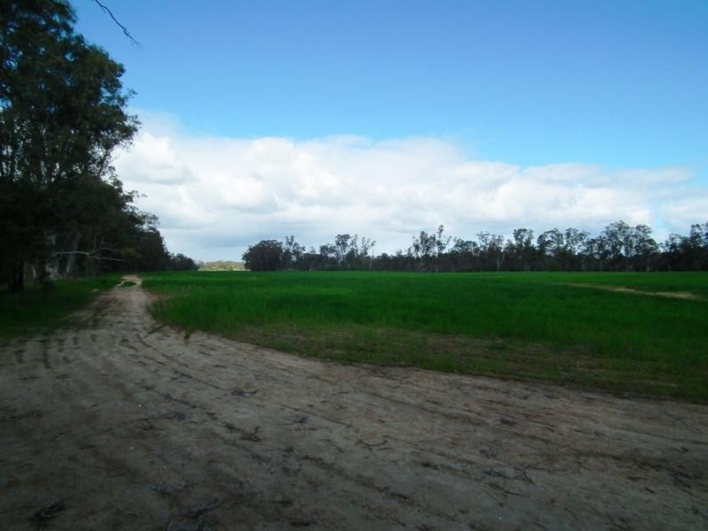 Lot 1 Mitchellstown Road, Nagambie VIC 3608
