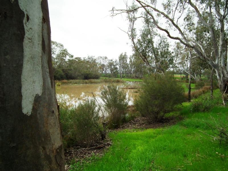 Lot 2 Mitchellstown Road, Nagambie VIC 3608