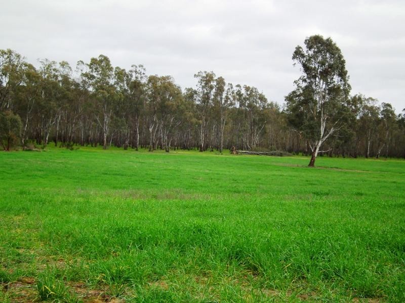 Lot 2 Mitchellstown Road, Nagambie VIC 3608
