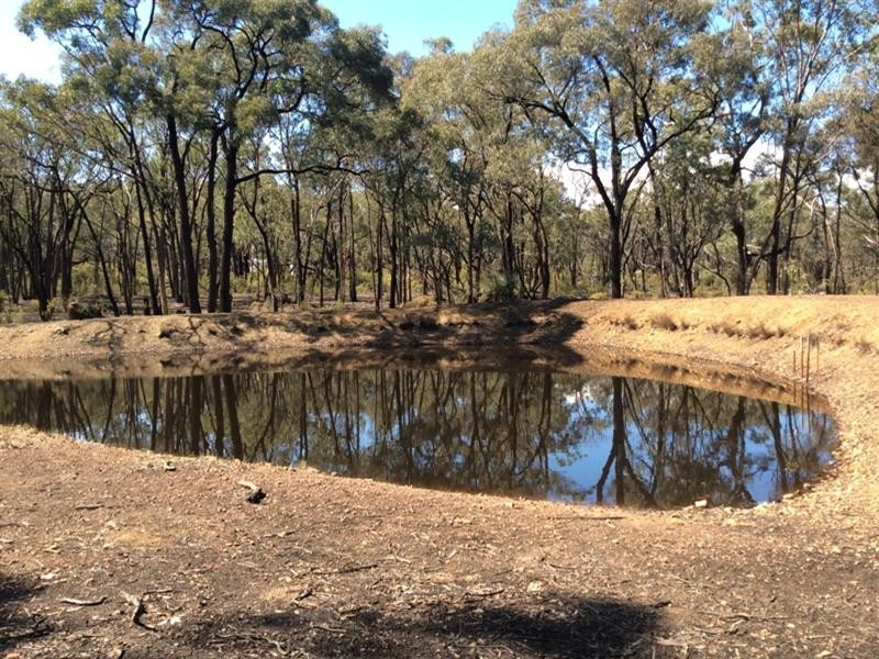 113 Gold Diggers Road, Bailieston VIC 3608