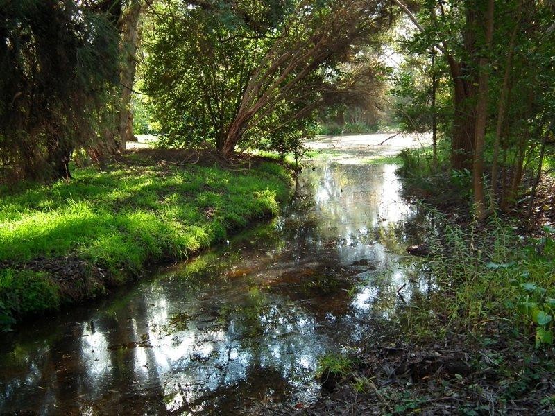 7/11 River Street, Nagambie VIC 3608