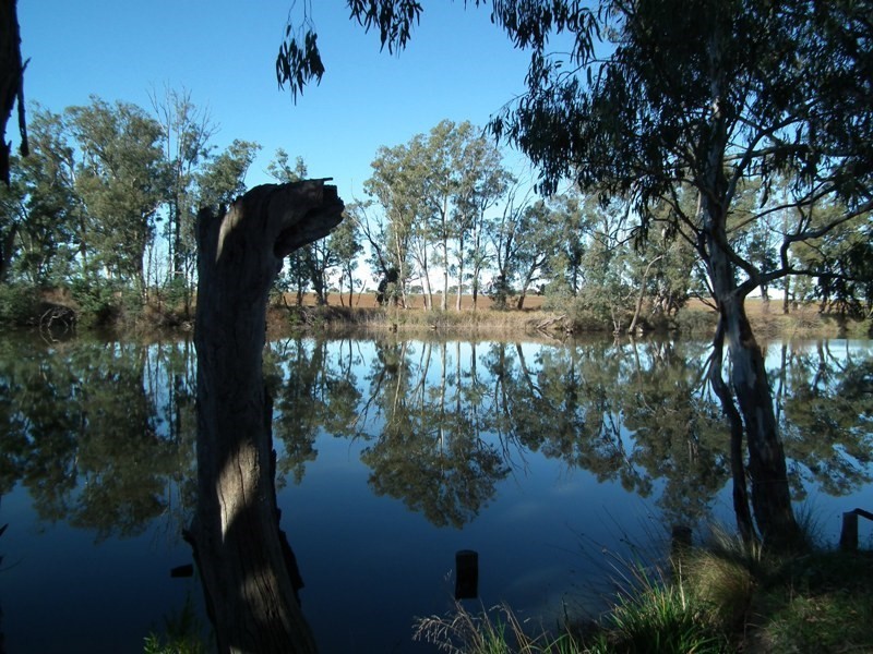 47 Wattlevale Road, Nagambie VIC 3608
