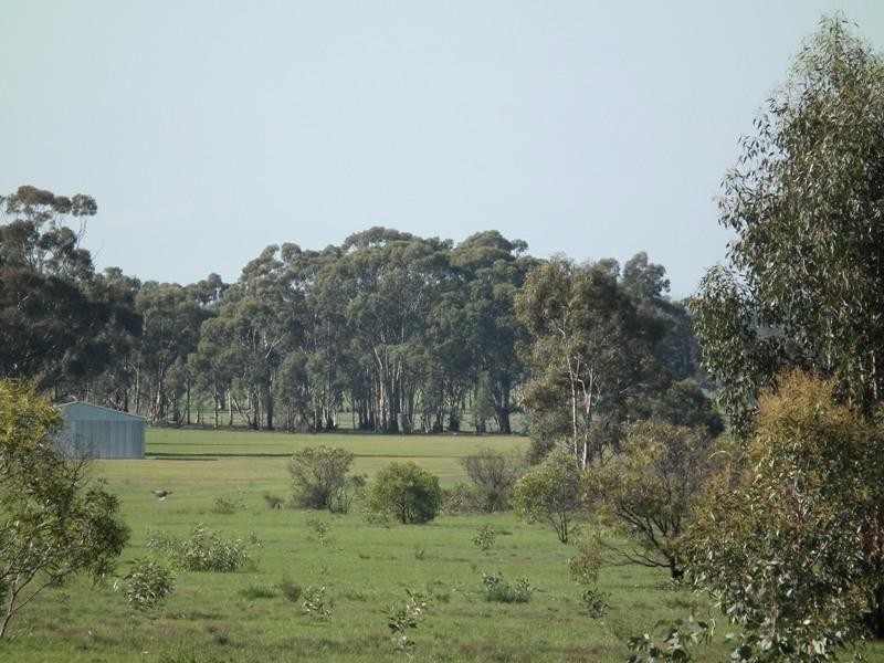 1494 Graytown-Rushworth Road, Whroo VIC 3612