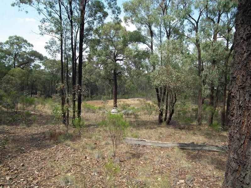 223 Gold Diggers Road, Bailieston VIC 3608