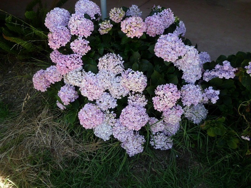 416 Alexanderson Road, Locksley VIC 3665