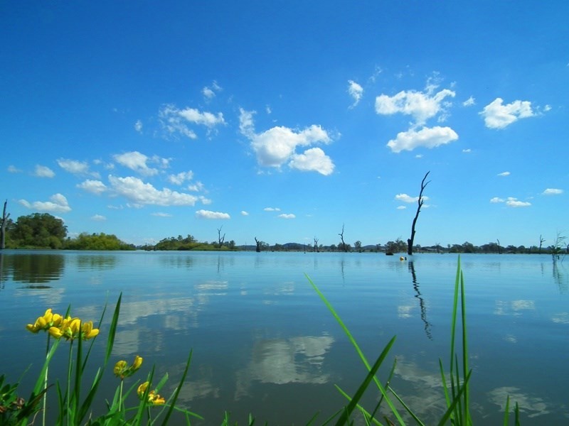 12 McLeod Street, Nagambie VIC 3608