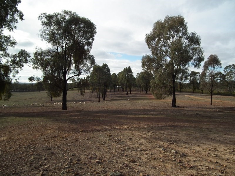149 Verges Lane, Nagambie VIC 3608