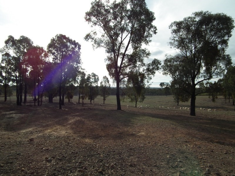 149 Verges Lane, Nagambie VIC 3608