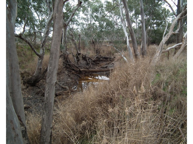 Lot 16 Moran Court, Graytown VIC 3608