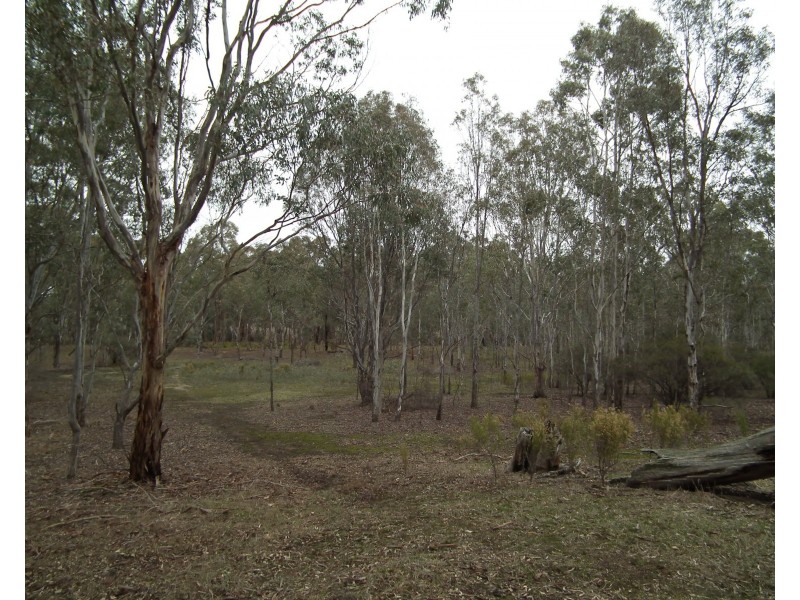 Lot 16 Moran Court, Graytown VIC 3608