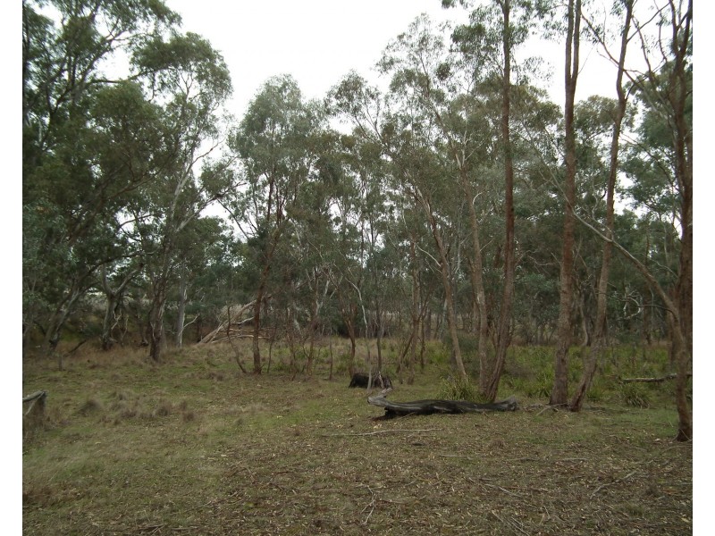 Lot 16 Moran Court, Graytown VIC 3608