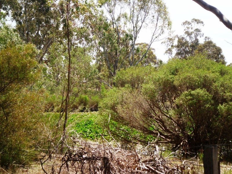 52 Kettles Road, Kirwans Bridge VIC 3608