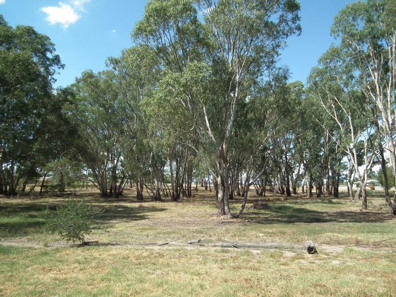 238 High Street, Nagambie VIC 3608