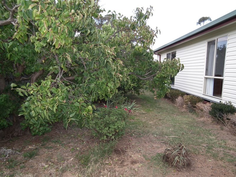 379 High Street, Nagambie VIC 3608