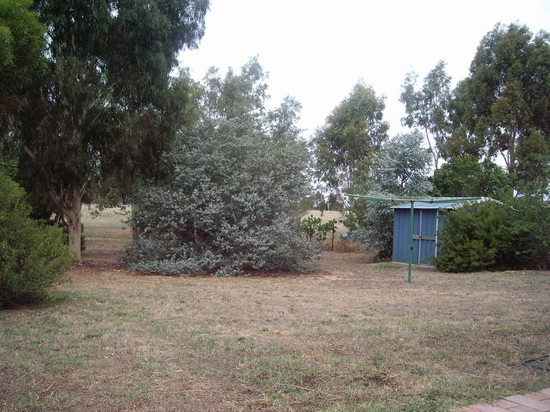 51 Barwon Street, Nagambie VIC 3608