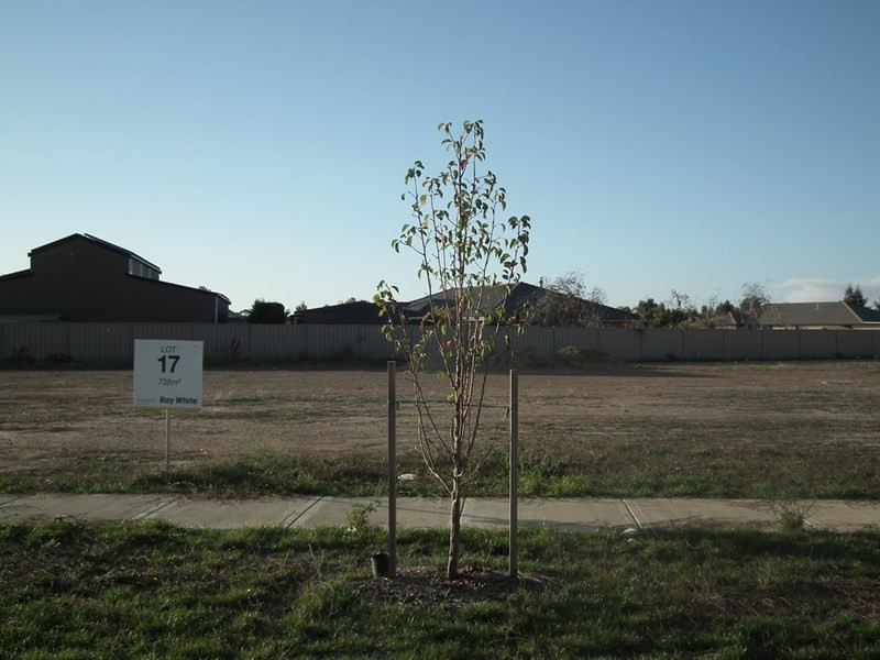 17 Kheminda Crescent, Nagambie VIC 3608