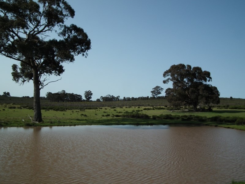 “Buffalo” Buffalo Swamp Road, Kirwans Bridge VIC 3608
