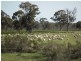 “Buffalo” Buffalo Swamp Road, Kirwans Bridge VIC 3608