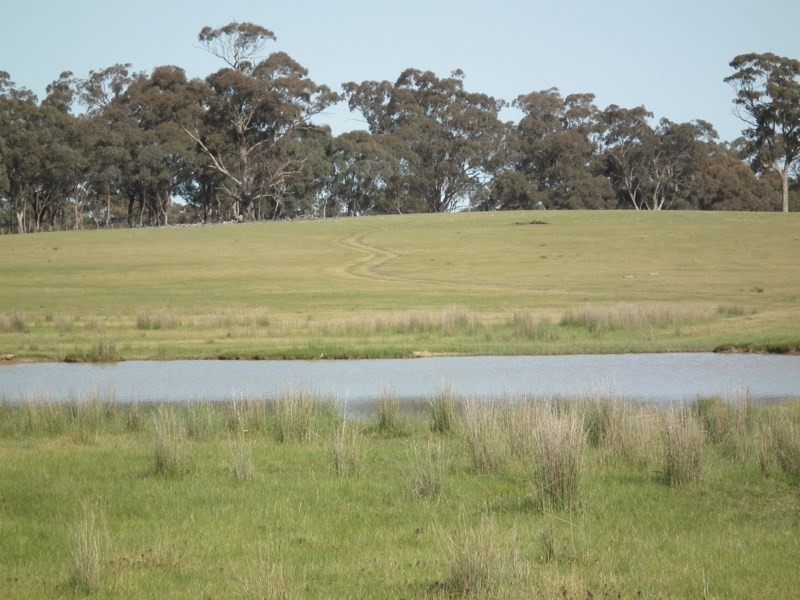 “Buffalo” Buffalo Swamp Road, Kirwans Bridge VIC 3608