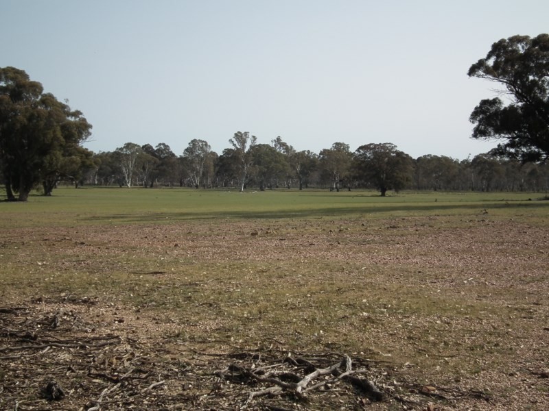 “Buffalo” Buffalo Swamp Road, Kirwans Bridge VIC 3608