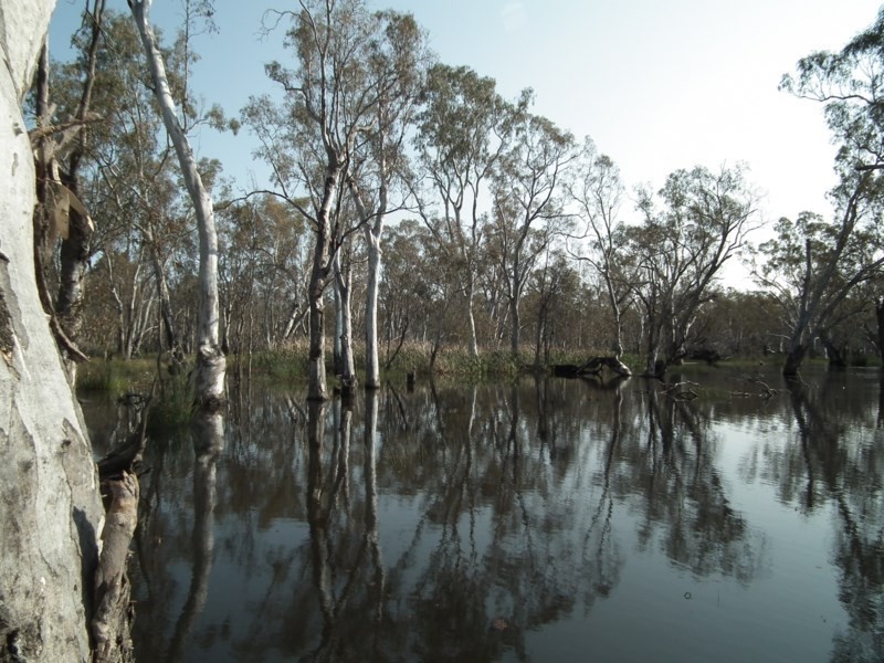 “Buffalo” Buffalo Swamp Road, Kirwans Bridge VIC 3608
