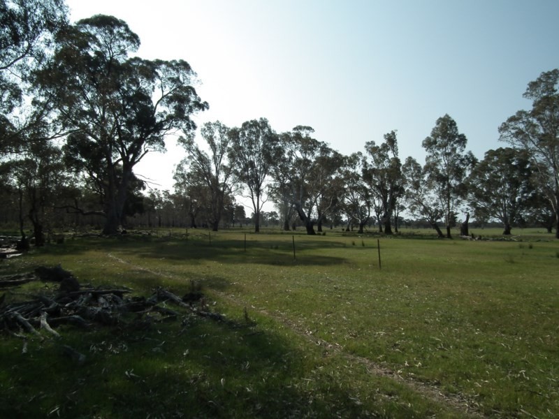 “Buffalo” Buffalo Swamp Road, Kirwans Bridge VIC 3608