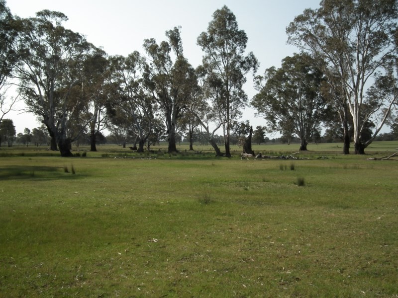 “Buffalo” Buffalo Swamp Road, Kirwans Bridge VIC 3608