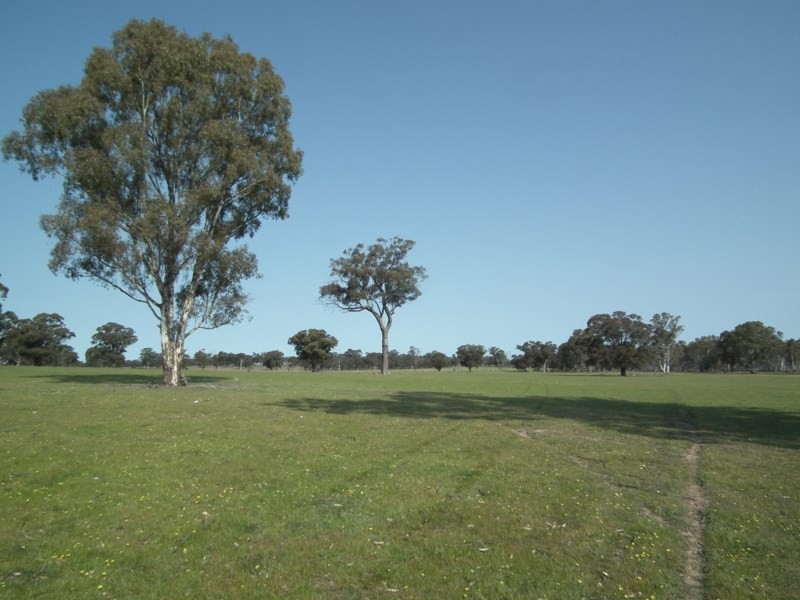 “Buffalo” Buffalo Swamp Road, Kirwans Bridge VIC 3608