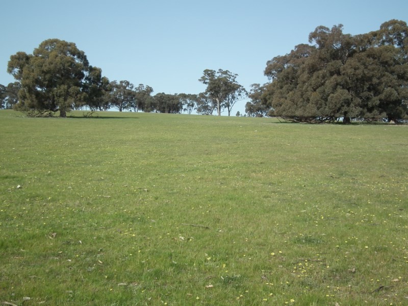 “Buffalo” Buffalo Swamp Road, Kirwans Bridge VIC 3608