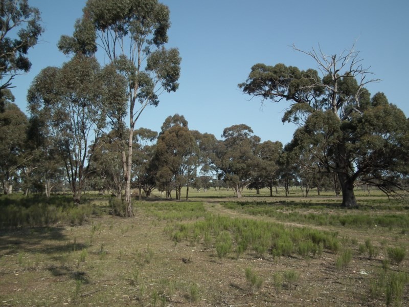 “Buffalo” Buffalo Swamp Road, Kirwans Bridge VIC 3608