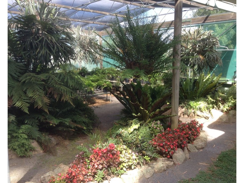 31 Goulburn Weir – Murchison Road, Kirwans Bridge VIC 3608